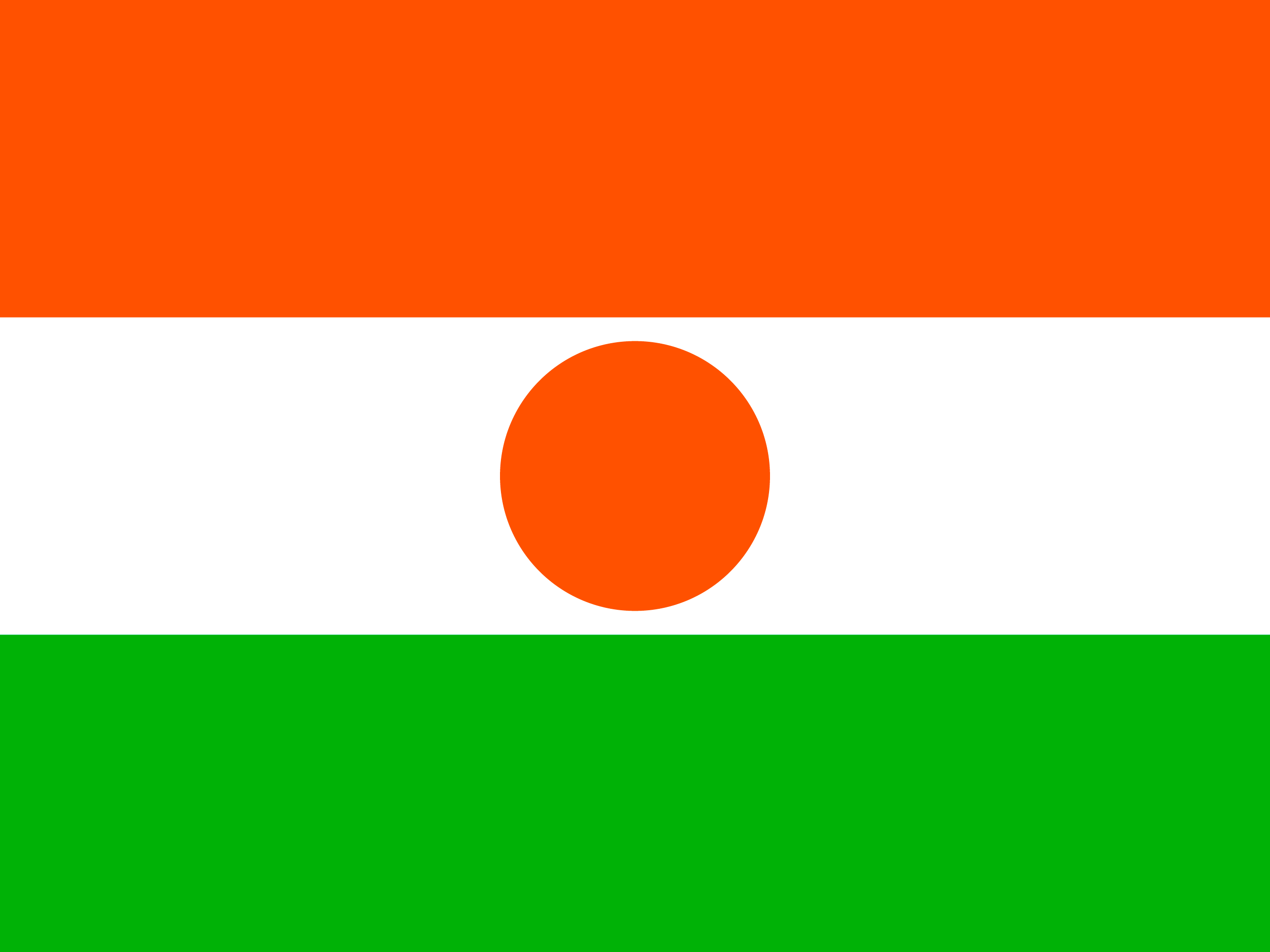 नायजर ध्वज